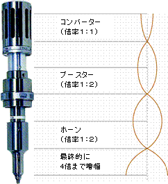 ホーン振幅増幅のメカニズム